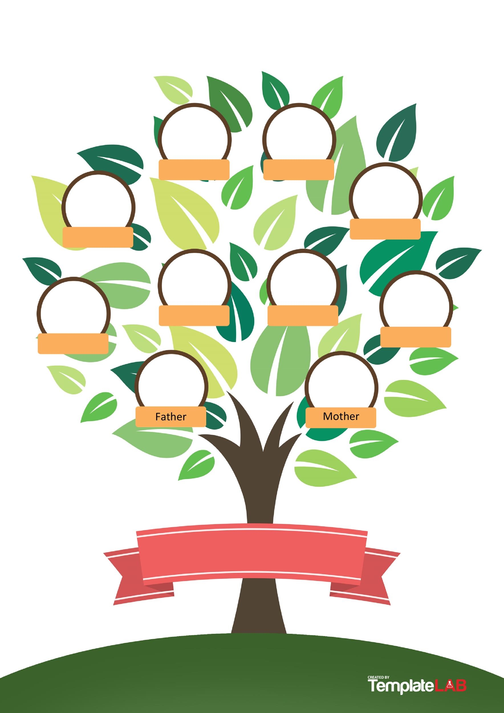 Honey Bee Life Cycle Printable Honey Bee Life Cycle Printable
