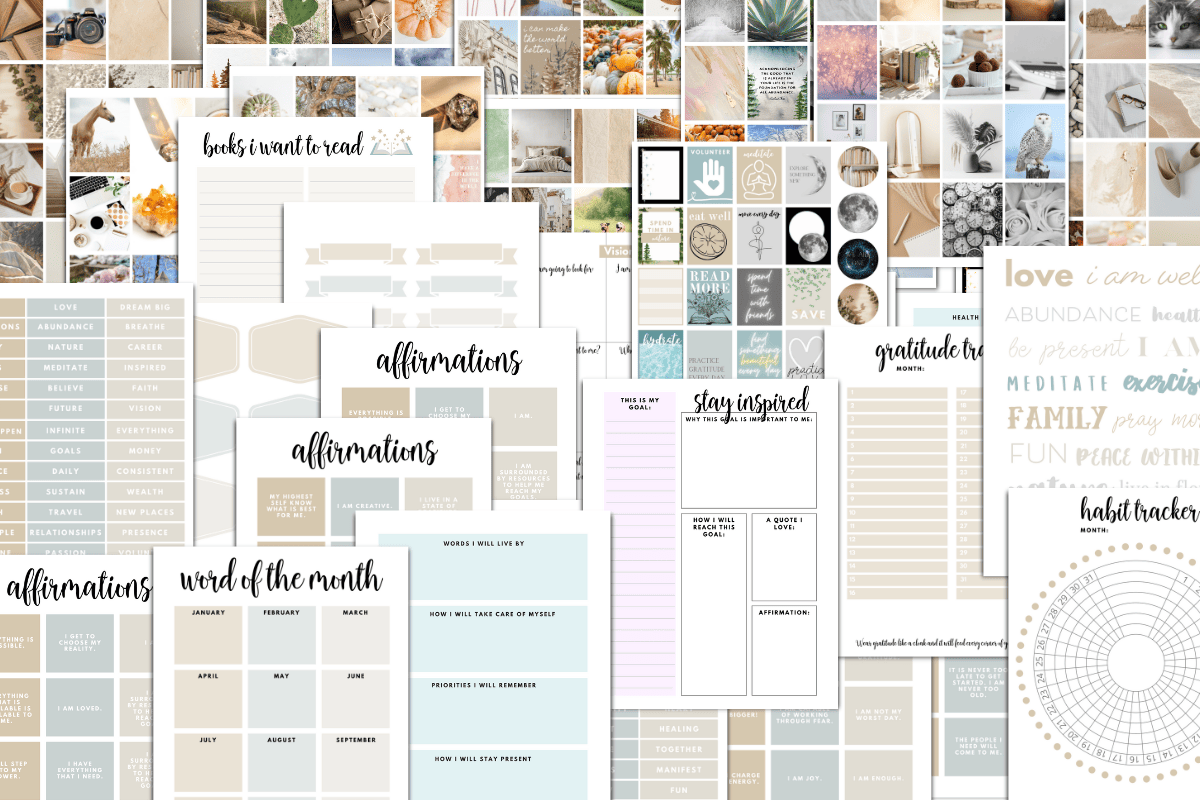 Printable Painted Lady Butterfly Life Cycle
