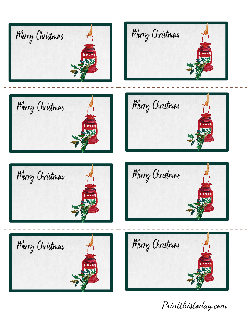Life Cycle Of A Frog Printable Worksheet Life Cycle Of A Frog Printable Worksheet