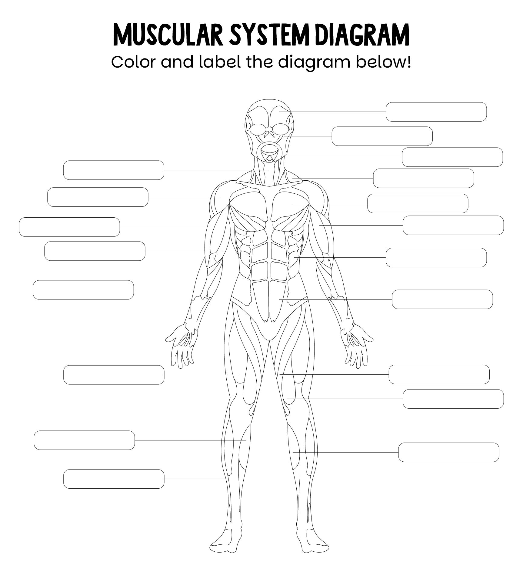 Free Butterfly Life Cycle Book Printable